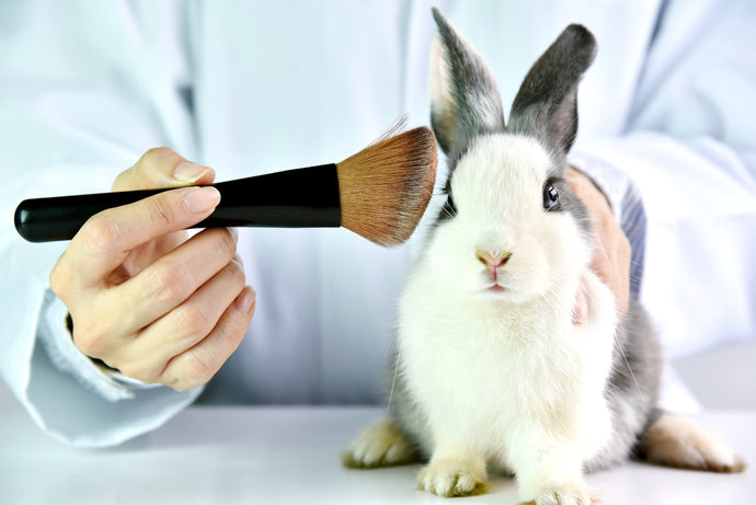 Les cosmétiques non testés sur les animaux : pourquoi les choisir ?